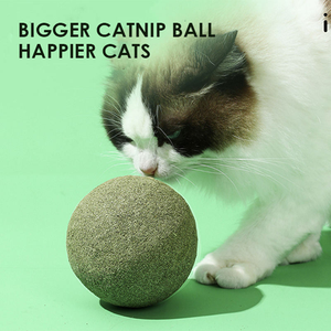 Jouet à lécher pour chat en herbe à chat fraîche personnalisée, fruit de la galle de chat, vigne argentée, balle à lécher pour chaton, jouet pour chat - Product Image 3
