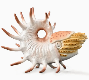 Modello Realistico di Granchio Ermita di Resina Stampato in 3D, Giocattolo di <span class=keywords><strong>Simulazione</strong></span> - Product Image 1