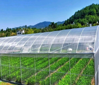 Housses de protection des plantes durables et de qualité supérieure, adaptées aux vergers et aux serres de légumes, pour protéger les cultures contre toutes les nuisibles volantes