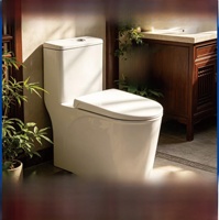 Ensemble de toilettes compactes en céramique à siphon silencieux et économiseur d'eau pour salle de bain domestique