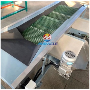 Equipo de Clasificación de Frutas por Tamaño de Acero Inoxidable, Clasificador de Arándanos, Máquina Clasificadora de Arándanos en Venta - Product Image 3