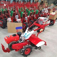 Mini Cultivadora, Arado Pequeño, Motor de Gasolina y Diésel, Autopropulsada, Rotativa