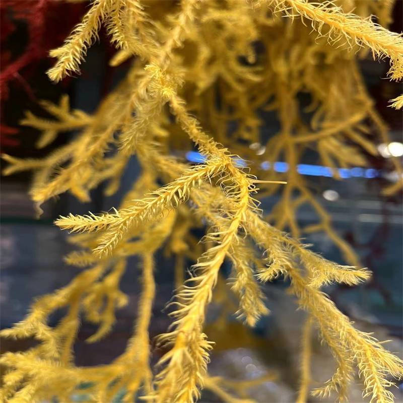 Jaune