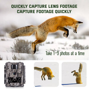 Wildcamera Outdoor 30MP 1080P HD Caméra de surveillance de la faune avec vision nocturne infrarouge, étanche IP67, sans fil, pour la chasse, pièges <span class=keywords><strong>photo</strong></span> <span class=keywords><strong>WiFi</strong></span>/SD CMOS solaire - Product Image 4