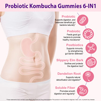 Acentiallabs Gommes Probiotiques au Kombucha avec Prébiotiques, Orme Rouge, Racine de Pissenlit, Soutien Immunitaire, Gestion de l'Énergie, Santé Intestinale