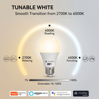 Ampoule LED Intelligente Tuya RGB E27 9W WiFi Dimmable Compatible Alexa/Google Home Sans Hub IRC 80 Température de Couleur 2700-6500K Garantie 1 An AC Large Gamme