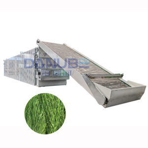 Fully Automatic Complete Set of <b>Equipment</b> for Processing Gongcai Peeling Cutting <b>Drying</b> Packaging - Product Image 1