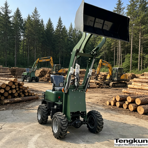 Nuovo <span class=keywords><strong>Mini</strong></span> Caricatore Elettrico 4WD ad Alta Configurazione, Piccolo Caricatore Elettrico su Ruote per Costruzioni Agricole - Product Image 4