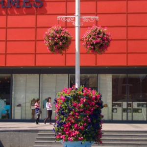 Panier vertical de jardinage de qualité supérieure, panier suspendu pour fleurs - Product Image 5