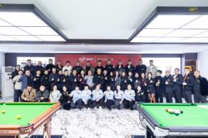 Customized Snooker <strong>Pool</strong> <strong>Table</strong> with Adjustable Height Options Stable Structure and <strong>Ball</strong> <strong>Return</strong> System - Product Image 6