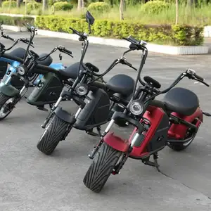 2017 Citycoco 3 גלגלים 200 ק"מ מכביש 250Cc קטנוע Trike/3 גלגל אופנוע 250Cc/Trike Reclinado עם CE