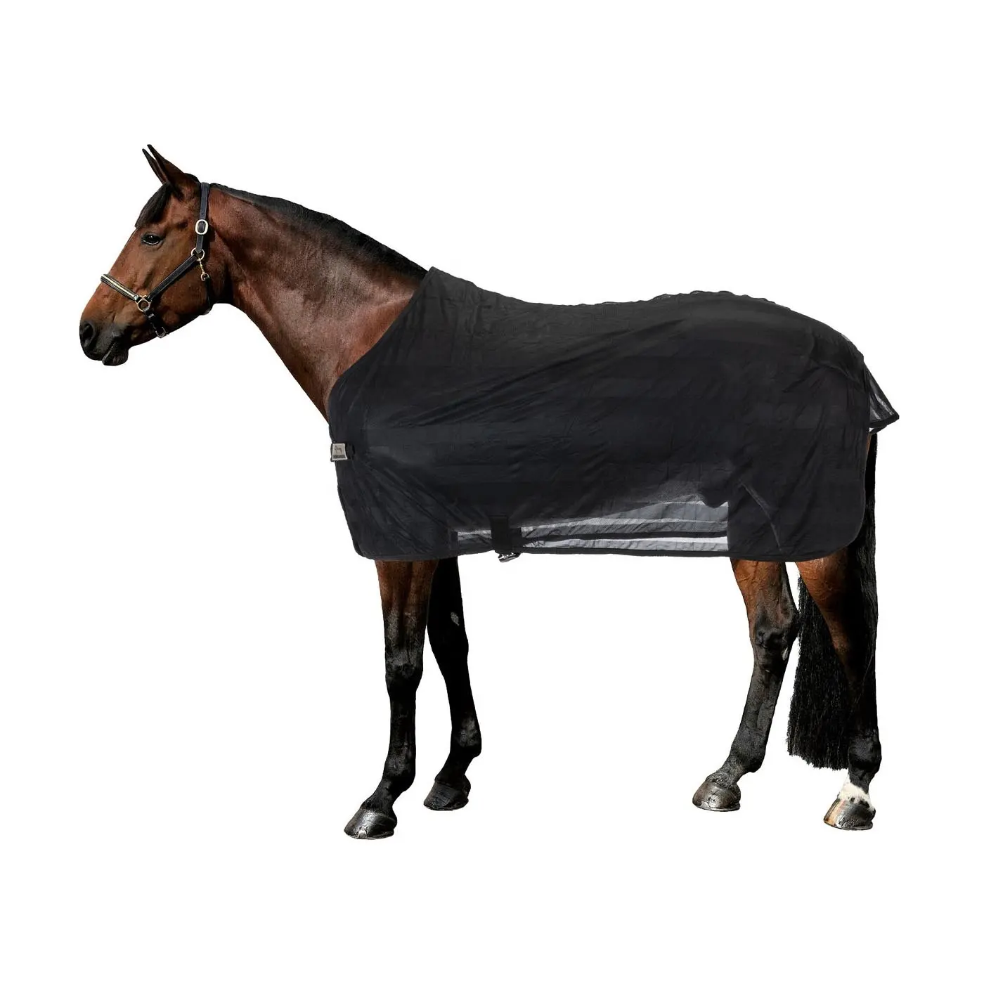 Coperte per cavalli Basic Fly horse Sheet Strip tessuto a rete Small Belly Surcingle