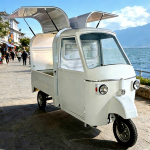 Carritos de Comida Rápida Móviles Eléctricos de Acero de Alta Calidad, Camión de Comida, Remolque de Cocina Ambulante para Restaurantes en la Calle - Product Image 1