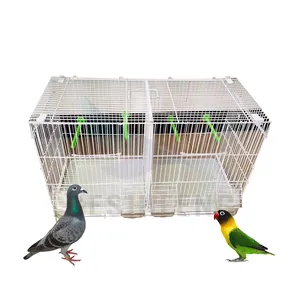 Cage à oiseaux en métal d'intérieur OEM ODM Cage à oiseaux en acier inoxydable Cloison en acier inoxydable Cage à oiseaux d'alimentation pour animaux de compagnie