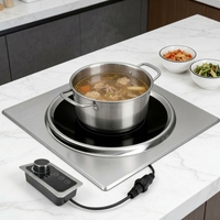 Cuisinière à induction intégrée pour Hot Pot et Barbecue, avec plaque concave