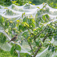 Filet anti-vent sur mesure pour la protection contre la grêle des vignobles, vergers, arbustes à baies, étangs à poissons et cerisiers