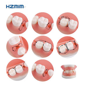 Modello di Pratica per Cisti Dentali per <span class=keywords><strong>Formazione</strong></span> Chirurgica Orale Prodotto per Scienze Mediche - Product Image 6