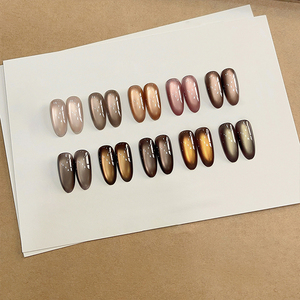AILANUO Vernis à ongles gel magnétique œil de chat doré automne 10 couleurs Vernis à ongles gel professionnel UV - Product Image 3