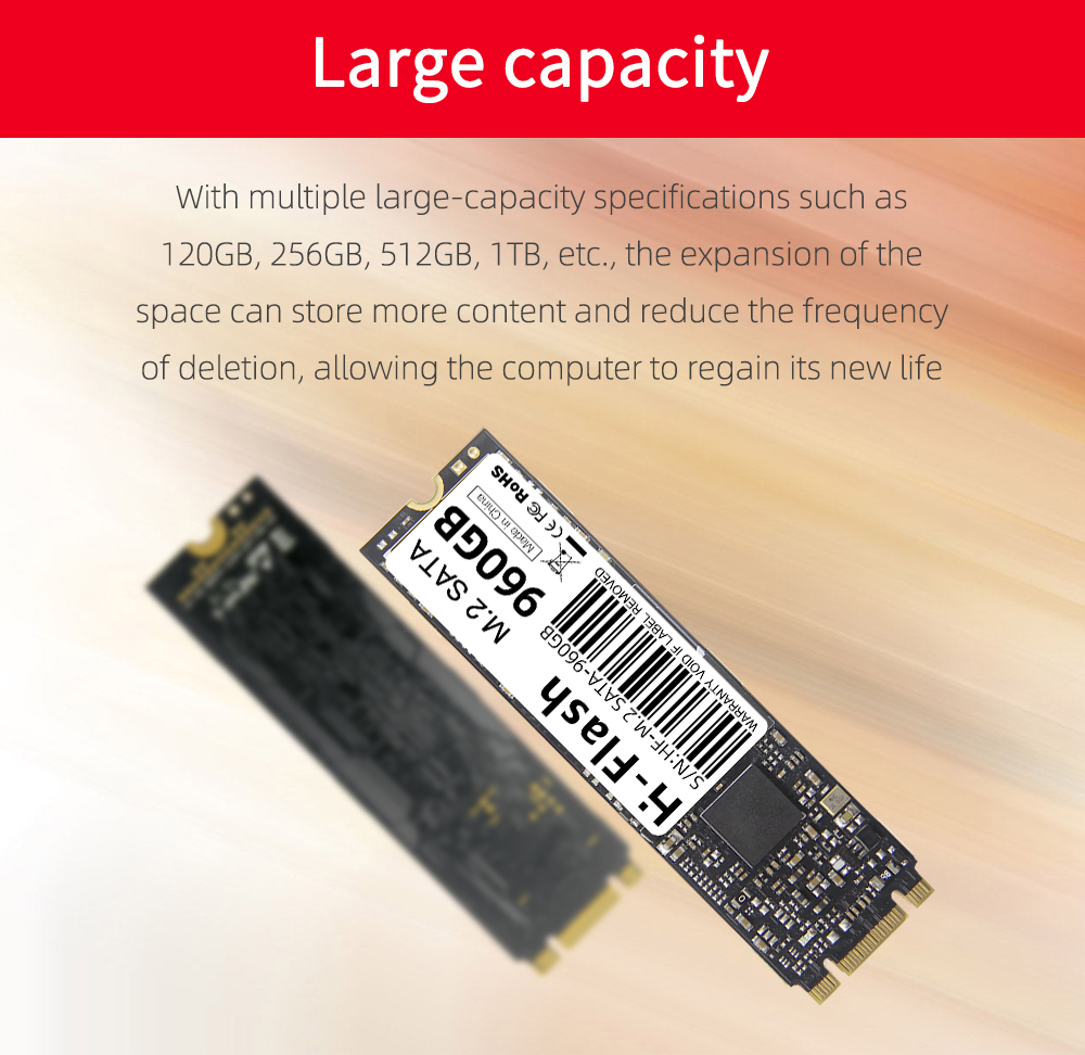 H-FLASH SSD - High Reliability Storage for Desktops & Laptops