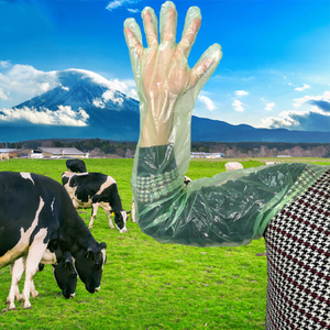 100 piezas <span class=keywords><strong>Boer</strong></span> cabra ganado Touchntuff guantes A.I plástico largo brazo longitud veterinario puño guante - Product Image 2