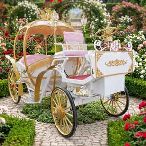 Magnifique calèche citrouille électrique de haute qualité, véhicule spécial pour mariages et visites touristiques, calèche Cendrillon - Product Image 1