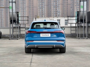 Utilisé pour les <span class=keywords><strong>Audi</strong></span> <span class=keywords><strong>quattro</strong></span> EV, moteur double puissant, son B&O, vente en gros pour les concessionnaires automobiles africains - Product Image 6