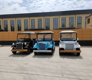 Voiturette de golf électrique vintage classique DZY personnalisée, 14 places, qualité supérieure, <span class=keywords><strong>alternateur</strong></span> métallique 4000W 72V, vente en gros - Product Image 2