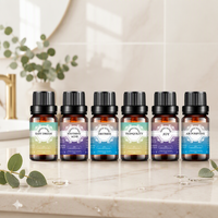 Penjualan Lintas Negara 16 Aroma Set Minyak Esensial Formula Khusus Kemasan Label Pribadi Minyak Aromaterapi Grosir