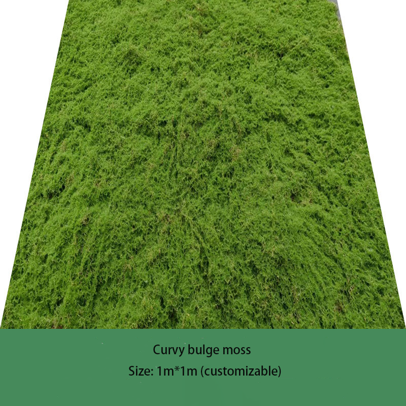 Plus mousse de bractées (1m * 1m)