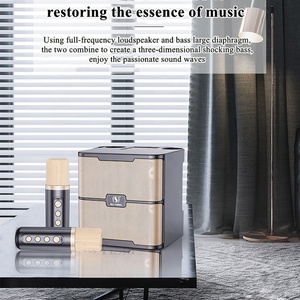 Caisson de basses Portable haute puissance UHF <span class=keywords><strong>karaoké</strong></span> double Microphone Bluetooth haut-parleur <span class=keywords><strong>en</strong></span> plein air fête de famille chant carte son boîte <span class=keywords><strong>karaoké</strong></span> - Product Image 3