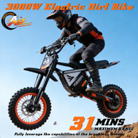 Vélo tout-terrain sportif 3 vitesses 3000W 12''/10'' à pneus larges, moteur sans balais, batterie lithium 48V, frein à disque hydraulique, pour adulte, en stock UE