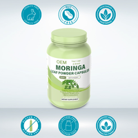 OEM Moringa bubuk kapsul 500mg suplemen Herbal alami untuk orang dewasa dengan dukungan Vitamin & Mineral kekebalan tubuh, meningkatkan energi