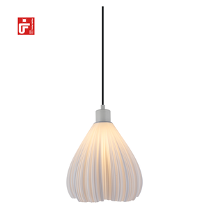 Nouveau processus élégant pendentif nordique lumière 3D imprimé suspension conception plafonniers d'intérieur - Product Image 1