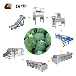Lavadora de repollo bulboso y lechuga, equipo de lavado de <span class=keywords><strong>tomate</strong></span> a gran escala, línea de producción de lavado y secado de vegetales - Product Image 1