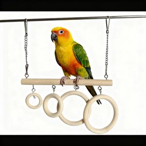 Anneaux suspendus pour oiseaux perroquets, pour mâcher, décoratifs, balançoires, poteaux à balançoire avec anneaux d'escalade et tunnel pour petits perroquets - Product Image 4
