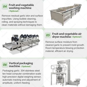 Máquina Peladora de Ajo y Clavo Weifang, Accionada por Cadena, Totalmente Automática, Línea Completa de Producción, Planta de Procesamiento - Product Image 5