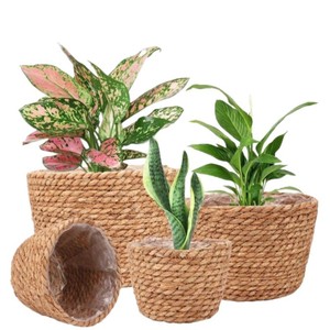 Seagrass Plant <b>Baskets</b> Round Woven Flower Pots Indoor Decorative Storage Containers For Houseplants - Product Image 5