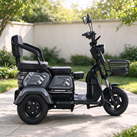 Sepeda Motor Roda Tiga Listrik Dengan Peredam Kejut Tebal, Garpu Depan, Motor Terpasang Belakang, Kendaraan Penumpang Rumah Tangga