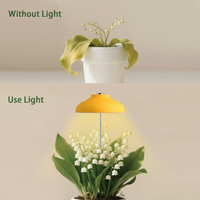Lampe LED pour plantes avec minuteur, 4000K, 5W, USB, hauteur réglable 212-710mm, pour décoration intérieure et jardinage, OEM disponible
