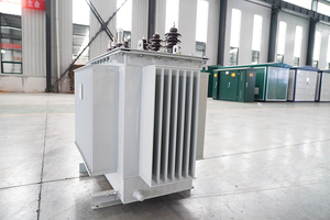 Transformador Sumergido en Aceite de 50 kVA, 100 kVA, 200 kVA, 500 kVA, 1000 kVA, 2000 kVA, 11 kV, 33 kV, Entrada Trifásica de 220 kV, 400 V, 240 V, Serie ZBPW S - Product Image 3