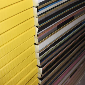 Esterilla de Judo estándar para interiores PU EVA Tatami para MMA Jiu-Jitsu Taekwondo Karate Grappling Aikido estándar internacional - Product Image 6