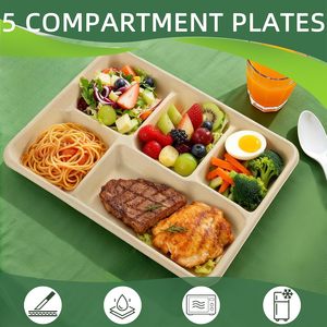 Prato Descartável Personalizado 100% Compostável de Bagaço de Cana-de-Açúcar com 5 Compartimentos para Almoços Escolares e Festas - Product Image 4