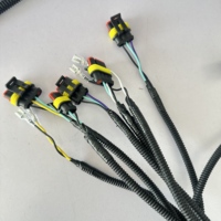 Produsen Kabel OEMODM, Kabel Harness Mobil Lengkap Kustom, Kabel Harness Dalam Mobil, Set Kabel Listrik untuk Mobil Golf