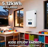 Baterai LiFePO4 24V 5kWh 25.6V 200Ah untuk Sistem Energi Surya yang Dipasang di Dinding