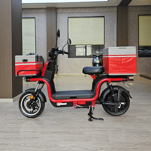 Motocicleta para Adultos Personalizada de Fábrica CKD SKD de 1000 W, Velocidad de 50 km/h, Alcance de 60 km, para Entrega de Comida - Product Image 4