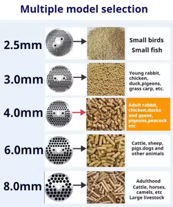 Machines <span class=keywords><strong>de</strong></span> traitement d'aliments pour animaux domestiques Machine <span class=keywords><strong>de</strong></span> fabrication <span class=keywords><strong>de</strong></span> palettes d'aliments pour animaux Machine à granulés d'aliments pour le bétail - Product Image 6