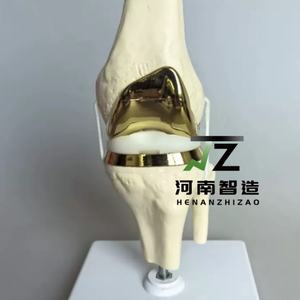 Articulations de genou artificielles de haute qualité, modèles d'articulations faits à la main, modèles chirurgicaux pour la formation médicale - Product Image 4