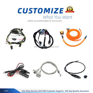 Câble d'extension personnalisé mâle-femelle pour caméra de surveillance, routeur, barre lumineuse LED, fil de cuivre pur PVC 18AWG 20AWG 12V DC5521 - Product Image 4