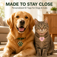 Étiquettes d'identification personnalisées en métal pour animaux de compagnie, gravées au laser, avec nom de chien ou de chat, numéro de téléphone et anneau fendu