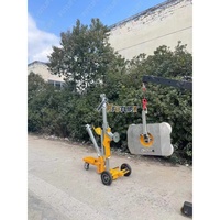 Steelflex Élévateur à flèche télescopique Élévateur à vide en verre Chariot élévateur mobile manuel pour restaurants et hôtels au détail-État neuf